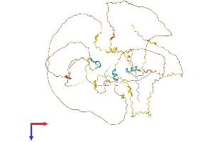 BCAS1 Protein (AA 1-584) (His tag)