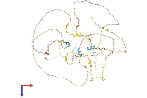 BCAS1 Protein (AA 1-584) (His tag)