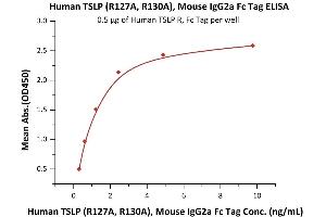 ELISA image for Thymic Stromal Lymphopoietin (TSLP) (AA 29-159) (Active) protein (Fc Tag) (ABIN6950978)