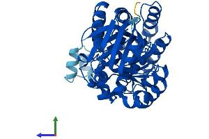Protein Structure (PS) image for Amidohydrolase Domain Containing 1 (AMDHD1) (AA 1-426) protein (His tag) (ABIN7548341)