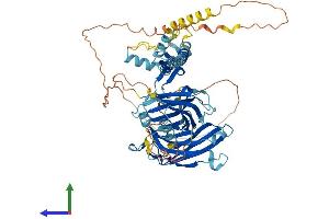 AlphaFold protein structure predicition of Human Recombinant SYTL3 Protein, UniprotID Q4VX76