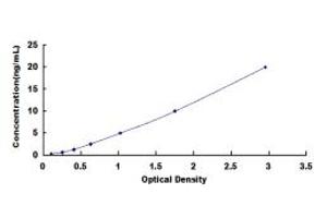 Typical standard curve (LGALS8 ELISA Kit)