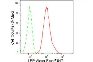 Flow cytometric analysis of LPP expression in HT- cells using LPP antibody (ABIN7799277), 1:2,000). (Rekombinanter LPP Antikörper)
