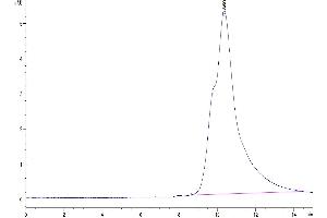 Size-exclusion chromatography-High Pressure Liquid Chromatography (SEC-HPLC) image for Secreted Frizzled-Related Protein 2 (SFRP2) (AA 25-295) protein (His tag) (ABIN7275651)