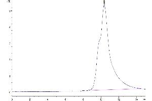 The purity of Human SFRP2 is greater than 95 % as determined by SEC-HPLC. (SFRP2 Protein (AA 25-295) (His tag))