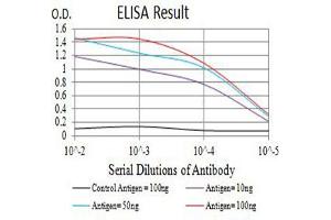 ELISA image for anti-Chemokine (C-C Motif) Receptor 1 (CCR1) antibody (ABIN5611256)