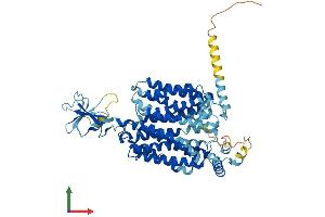 AlphaFold protein structure predicition of Human Recombinant SLC22A16 Protein, UniprotID Q86VW1