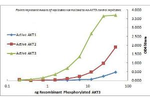 ELISA of Mouse Monoclonal anti-AKT3 antibody. (AKT3 Antikörper  (Internal Region) (Biotin))