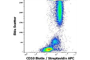 Flow cytometry surface staining pattern of human peripheral whole blood stained using anti-human CD10 (MEM-78) Biotin antibody (concentration in sample 12 μg/mL, Streptavidin APC). (MME Antikörper  (Biotin))