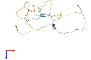 CDC42EP4 Protein (AA 1-349) (His tag)