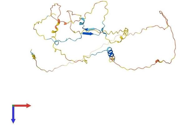 CDC42EP4 Protein (AA 1-349) (His tag)