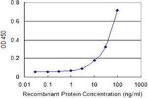 Detection limit for recombinant GST tagged NFIC is 1 ng/ml as a capture antibody. (NFIC Antikörper  (AA 314-423))