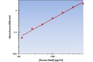 Growth Arrest-Specific 6 (GAS6) ELISA Kit