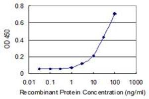 Detection limit for recombinant GST tagged NOC3L is 1 ng/ml as a capture antibody. (NOC3L Antikörper  (AA 702-800))