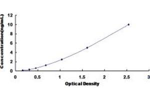 Typical standard curve (NRF1 ELISA Kit)