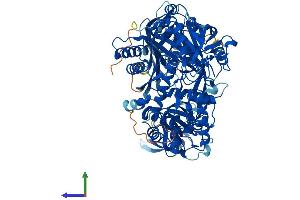 AlphaFold protein structure predicition of Mouse Recombinant Ago4 Protein, UniprotID Q8CJF8