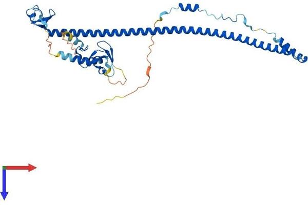 TRIM54 Protein (AA 1-358) (His tag)