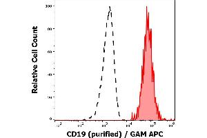 Separation of human CD19 positive lymphocytes (red-filled) from CD19 negative lymphocytes (black-dashed) in flow cytometry analysis (surface staining) of human peripheral whole blood stained using anti-human CD19 (4G7) purified antibody (concentration in sample 3 μg/mL) GAM APC. (CD19 Antikörper)