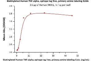 Immobilized Human TNFR1, Fc Tag (ABIN2181840,ABIN2181839) at 5 μg/mL (100 μL/well) can bind Biotinylated Human , epitope tag free, primary amine labeling (active trimer) (MALS verified) (ABIN2181834,ABIN2181833) with a linear range of 0. (TNF alpha Protein (AA 77-233) (Biotin))