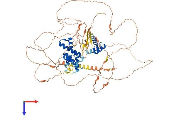 Six5 Protein (AA 1-719) (His tag)