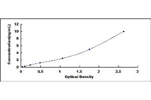 Typical standard curve (COL8A1 ELISA Kit)