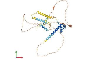 Protein Structure (PS) image for Diencephalon/mesencephalon Homeobox 1 (DMBX1) (AA 1-382) protein (His tag) (ABIN7547078)