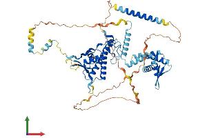 Protein Structure (PS) image for Chromatin Licensing and DNA Replication Factor 1 (CDT1) (AA 1-546) protein (His tag) (ABIN7553164)
