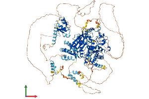 Protein Structure (PS) image for REV1, Polymerase (DNA Directed) (REV1) (AA 1-1251) protein (His tag) (ABIN7555143)