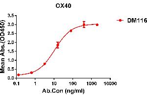 ELISA plate pre-coated by 2 μg/mL (100 μL/well) Human OX40 protein, hFc-His tagged protein ((ABIN6961095, ABIN7042219 and ABIN7042220)) can bind Rabbit anti-OX40 monoclonal antibody(clone: DM116) in a linear range of 6-70 ng/mL.
