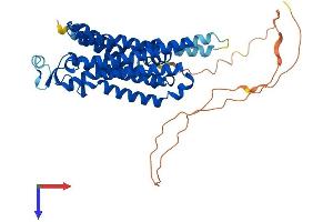 Adenosine A2a Receptor Protein (ADORA2A) (AA 1-412) (His tag)