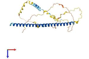 ATF5 Protein (AA 1-283) (His tag)