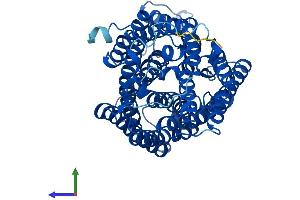 Protein Structure (PS) image for Cytochrome C Oxidase Subunit I (COX1) (AA 1-514) protein (His tag) (ABIN7562719)