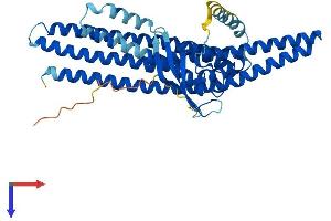 SNX6 Protein (AA 1-406) (His tag)