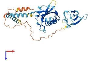 PIH1D2 Protein (AA 1-315) (His tag)