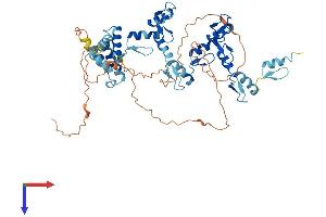 ZNF397 Protein (AA 1-534) (His tag)