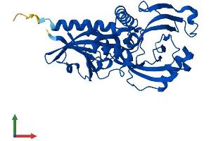 Protein Structure (PS) image for D-Aspartate Oxidase (DDO) (AA 1-341) protein (His tag) (ABIN7550400)