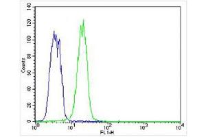 Overlay histogram showing K562 cells stained with (ABIN656663 and ABIN2845904) (green line). (KRT12 Antikörper  (C-Term))