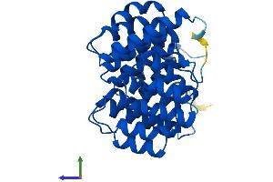 Protein Structure (PS) image for Deoxyhypusine Hydroxylase/monooxygenase (DOHH) (AA 1-302) protein (His tag) (ABIN7560381)