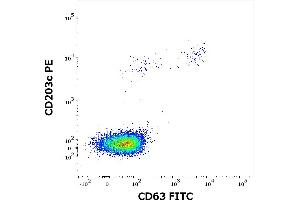 Flow cytometry dot-plot staining pattern of rAra h 1 recombinant allergen stimulated human peripheral whole blood lymphocytes and basophils of a proven allergic donor stained using anti-human CD63 (MEM-259) FITC and anti-human CD203c (NP4D6) PE antibodies .