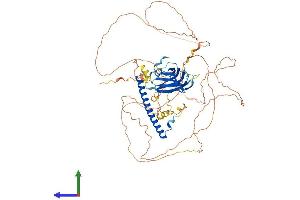 Protein Structure (PS) image for RAB11 Family Interacting Protein 5 (Class I) (RAB11FIP5) (AA 1-653) protein (His tag) (ABIN7551391)