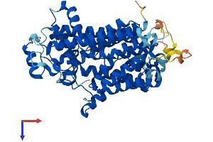 PIGV Protein (AA 1-493) (His tag)