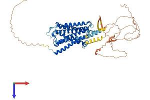 ADRA1B Protein (AA 1-520) (His tag)