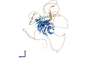 Protein Structure (PS) image for Transducin-Like Enhancer Protein 2 (TLE2) (AA 1-767) protein (His tag) (ABIN7565236)