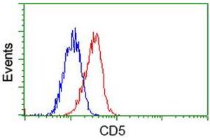 Flow cytometric Analysis of Jurkat cells, using anti-CD5 antibody (ABIN2452892), (Red), compared to a nonspecific negative control antibody (ABIN2452892), (Blue). (CD5 Antikörper)