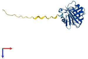 AlphaFold protein structure predicition of Mouse Recombinant Tldc2 Protein, UniprotID A2ACG1