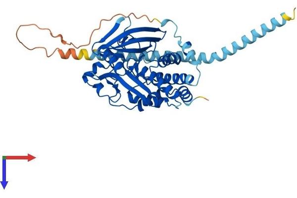PTPN2 Protein (AA 1-415) (His tag)
