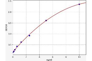 Tec Protein Tyrosine Kinase (TEC) ELISA Kit