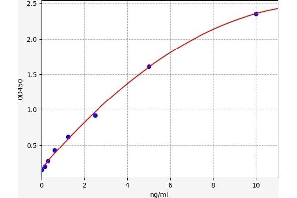 Tec Protein Tyrosine Kinase (TEC) ELISA Kit