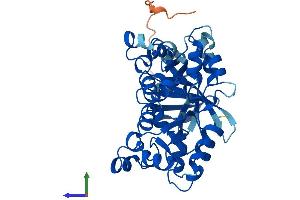 Protein Structure (PS) image for Nucleoside Diphosphate Kinase (NME7) (AA 1-395) protein (His tag) (ABIN7561751)