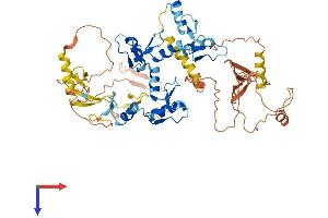 ZNF76 Protein (AA 1-570) (His tag)